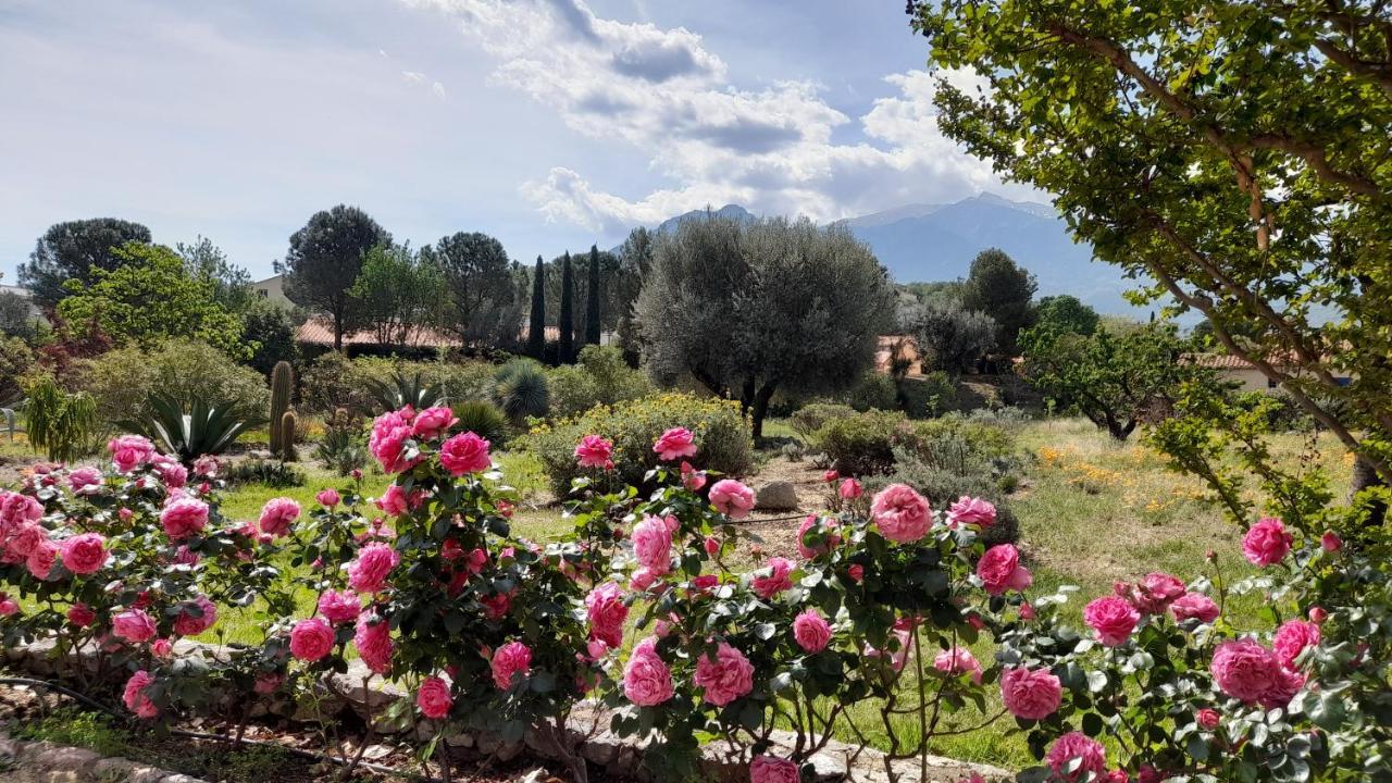 Bed and Breakfast Castell Rose à Prades  Extérieur photo
