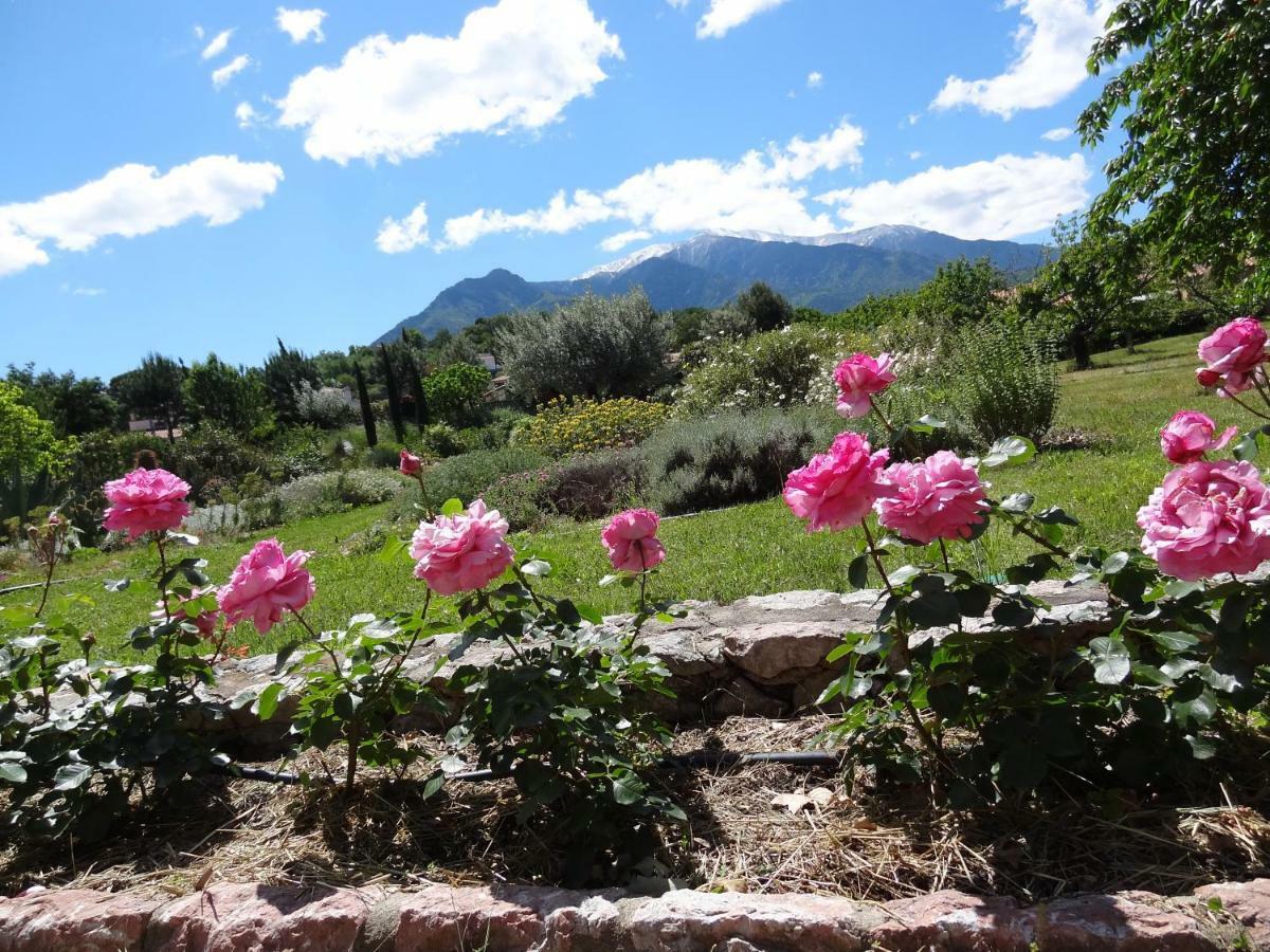 Bed and Breakfast Castell Rose à Prades  Extérieur photo